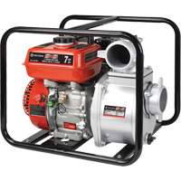 Gas Powered Water Pump, 196 cc, 4-Stroke OHV, 7.0 HP  UAJ264 | TENAQUIP