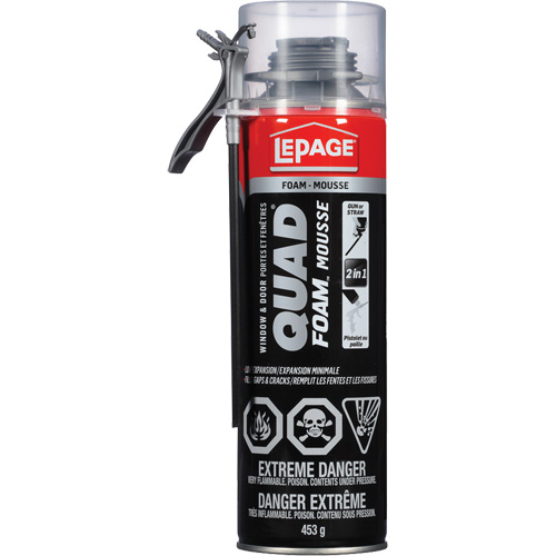 Lepage 1880791 Quad&reg; Foam Window & Door Installation Foam, Aerosol Can, Tan