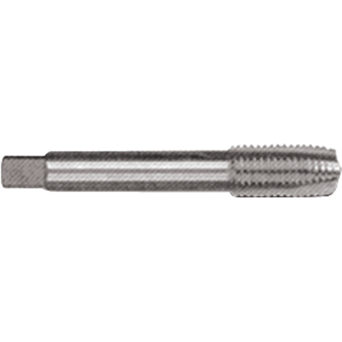 Clarkson Osborn ZT04006 Straight Flute Maintenance Tap, High Speed Steel, 6-32 Thread, 2" L