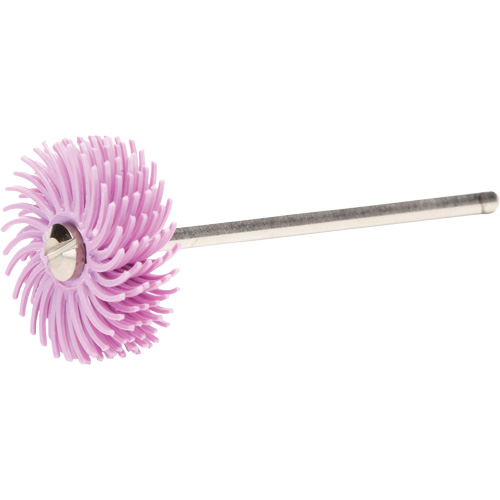 3M SB25759 Disques &agrave; soies radiales Scotch-Brite, Grain Pierre ponce, 3/4" dia.