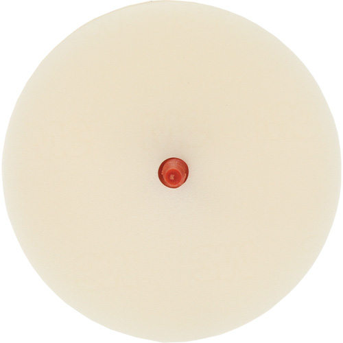 3M SB07501 Scotch-Brite Moulding Adhesive & Stripe Removal Disc, 7501, 4" Dia.