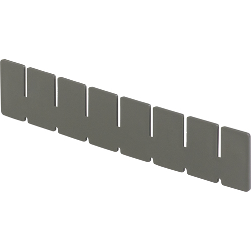 Lewis Bins+ 6025475 ESD Divider Boxes - Long Dividers