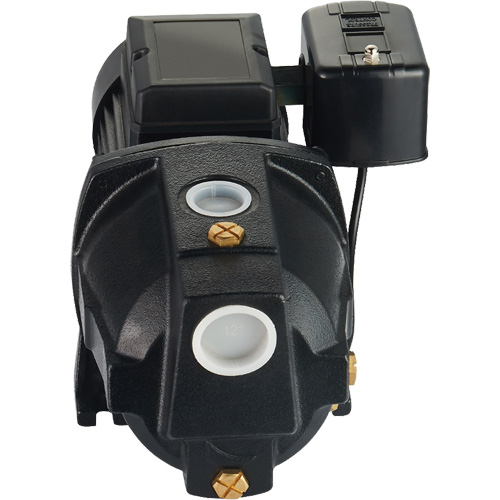 LEO UJM100-1 Pompe &agrave; jet en fonte &agrave; double tension pour puit peu profond, 115 V/230 V, 1100 gal./h, 1 CV