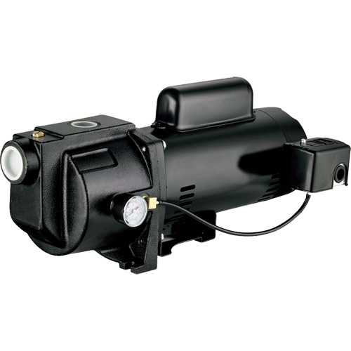 LEO UJM100-2 Pompe &agrave; jet en fonte &agrave; double tension pour puit peu profond, 115 V/230 V, 1260 gal./h, 1 CV