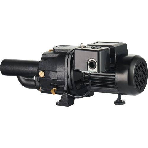 LEO UDPM75-1 Dual Voltage Cast Iron Convertible Jet Pump, 115 V/230 V, 1400 GPH, 3/4 HP