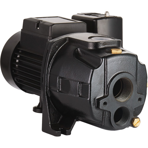 LEO UDPM75-1 Dual Voltage Cast Iron Convertible Jet Pump, 115 V/230 V, 1400 GPH, 3/4 HP