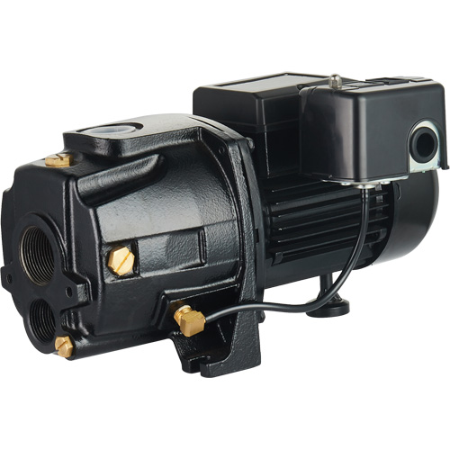 LEO UDPM75-1 Dual Voltage Cast Iron Convertible Jet Pump, 115 V/230 V, 1400 GPH, 3/4 HP