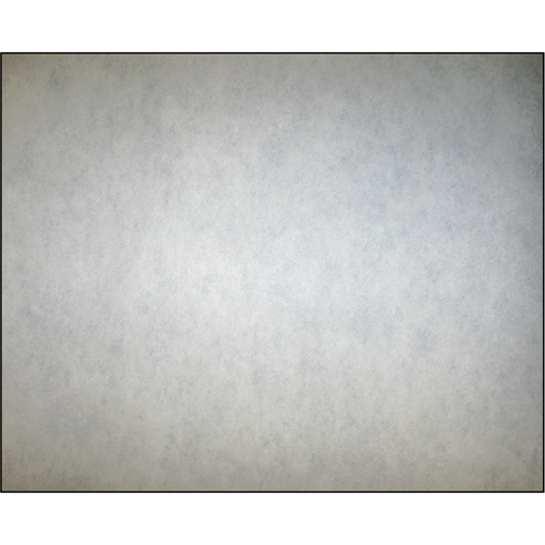 Camfil 357268-1018 High-Arrestance Synthetic Media Filters, Roll, MERV 5, 36" W x 1" D x 1620" H