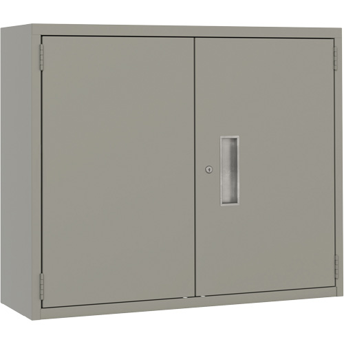 Perfix Inc. 88 R 18-12-9363 Armoire murale, Acier, 2 Tablettes, 30" h x 36" la x 12" P, Gris