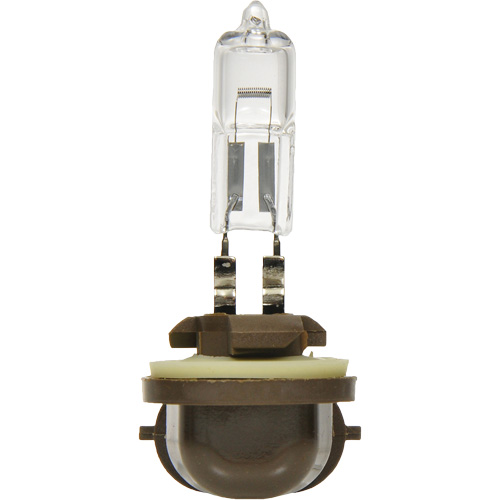 Sylvania 31575 886 Basic Fog Light Bulb, Halogen, 50 W, Off White