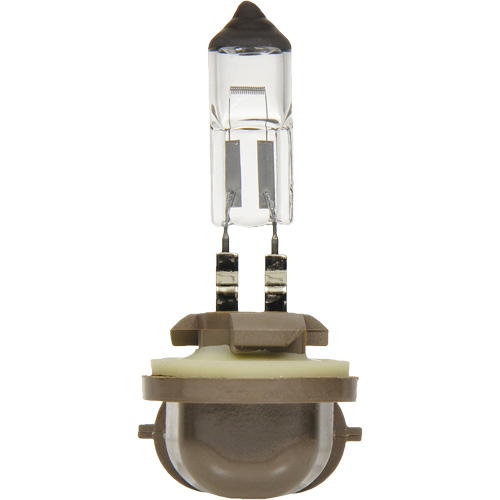 Sylvania 31581 896 Basic Fog Light Bulb, Halogen, 37.5 W, Off White