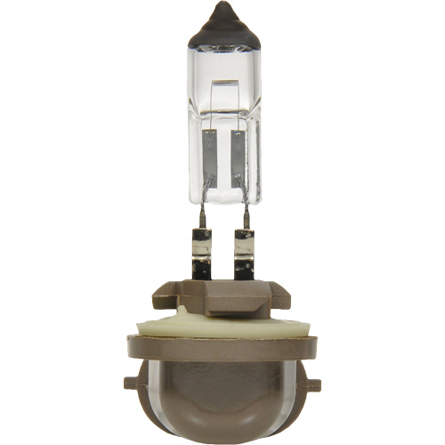 Sylvania 31573 881 Basic Fog Light Bulb, Halogen, 27 W, Off White