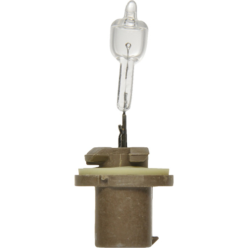 Sylvania 31574 885 Basic Fog Light Bulb, Halogen, 50 W, Off White
