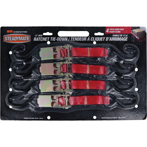 Kinedyne 15531 Ratchet Utility Straps, S-Hook, 1" W x 12' L, 500 lbs. (230 kg) Working Load Limit