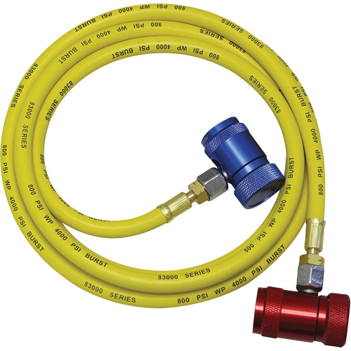 Mastercool 69843-SF HA Ensemble flexible de rinçage pour syst&egrave;me de climatisation R1234yf