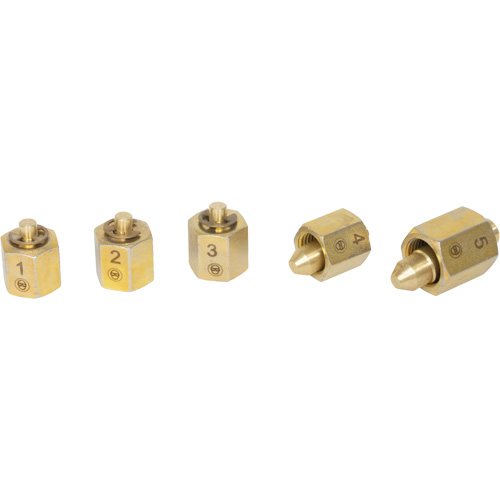 LISLE 10810 Jeu de 5 capuchons pour rampe dinjection de carburant