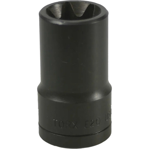 LISLE 26870 Douille Torx&reg; E-20