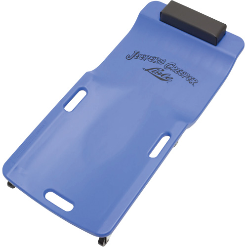 LISLE 94102 Chariot de visite bas en plastique bleu