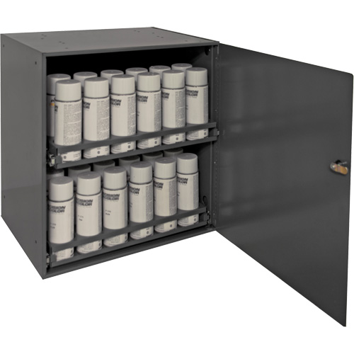 Durham Manufacturing 300-95 Armoire de rangement pour contenants a&eacute;rosol, Acier, 21-7/8" h x 15-15/16" la x 20-5/16" P, Gris