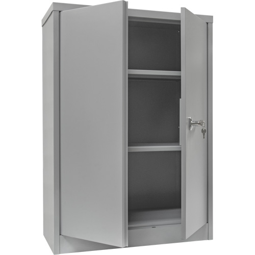 KLETON FN705 Armoire de rangement &agrave; hauteur de comptoir, Acier, 2 Tablettes, 42" h x 30" la x 15" P, Gris