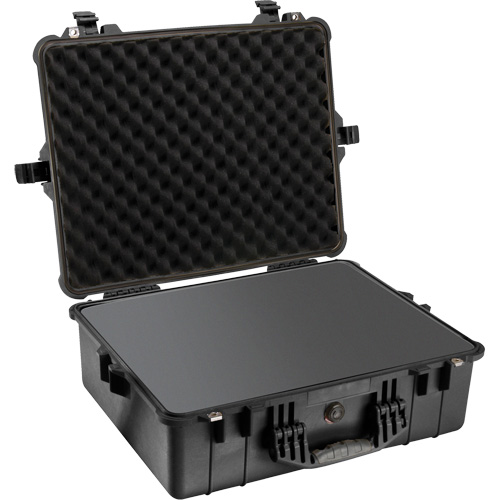 Pelican 1600-000-110 Protector Equipment Case, Hard Case