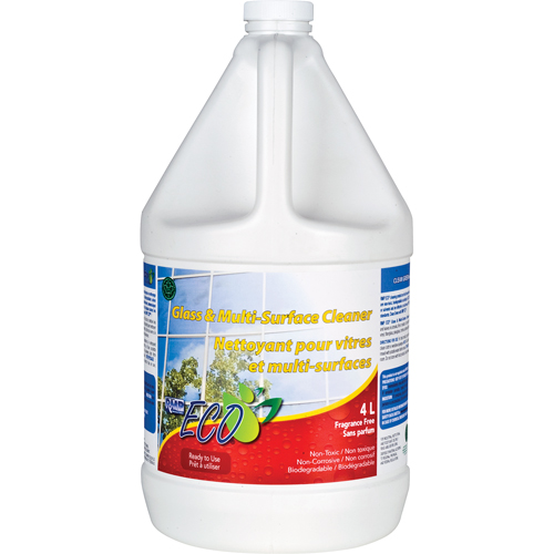 Produits d’entretien RMP JC008 Nettoyant pour vitres & pour toutes surfaces, 4 L, Cruche