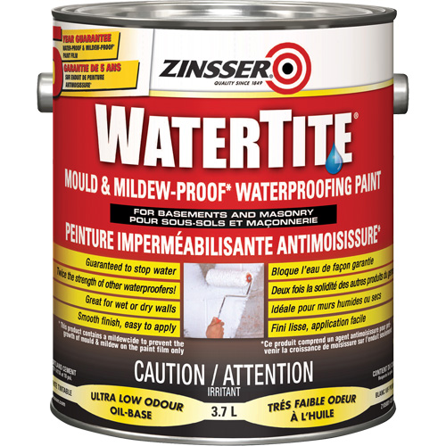 zinsser anti mold paint