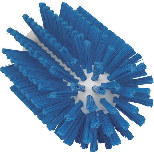 Vikan 5380773 Brosse pour l'hygi&egrave;ne des aliments, Soies Moyen, Longueur de 6", Bleu