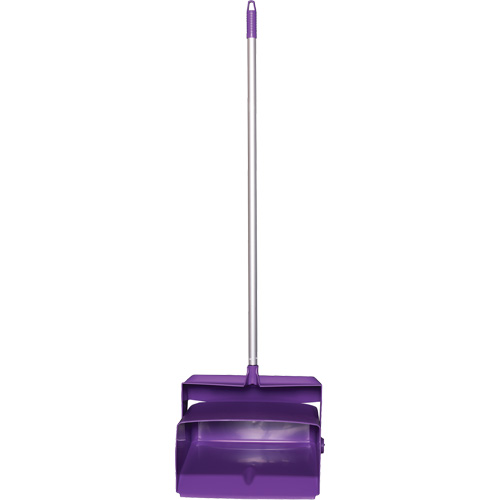 Vikan 62508 Balai et porte-poussi&egrave;re de vestibule