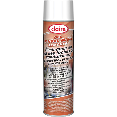Sprayway 1000010419 Graffiti Remover Gel