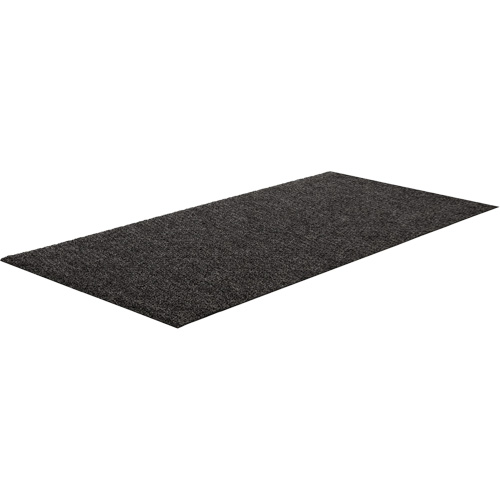 Edgewood Matting RNR201010 Tapis dentr&eacute;e commerciale Rainier, Essuie-pieds/grattoir, 3-1/2' x 10' x 3/8", Charbon