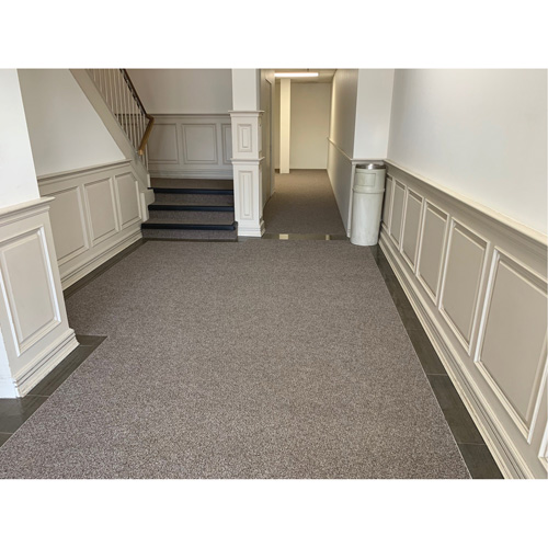 Edgewood Matting RNR201010 Tapis dentr&eacute;e commerciale Rainier, Essuie-pieds/grattoir, 3-1/2' x 10' x 3/8", Charbon