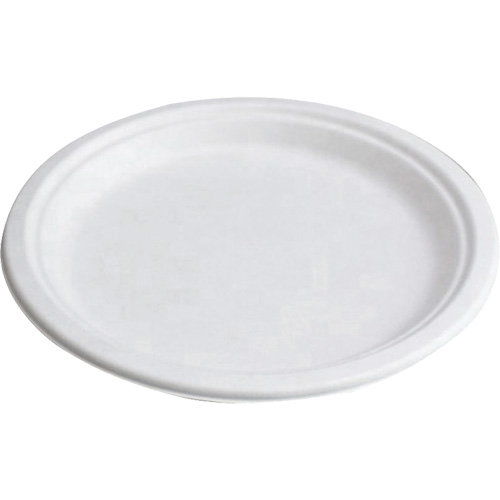 Globe 6022 Assiettes compostables