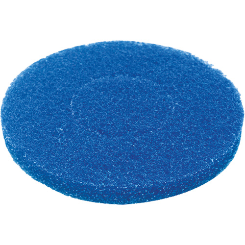 Motor Scrubber MS1068 Tampon pour plancher, Nettoyage, Bleu