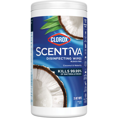 Clorox 10055500559883 Lingettes d&eacute;sinfectantes, 75 lingettes