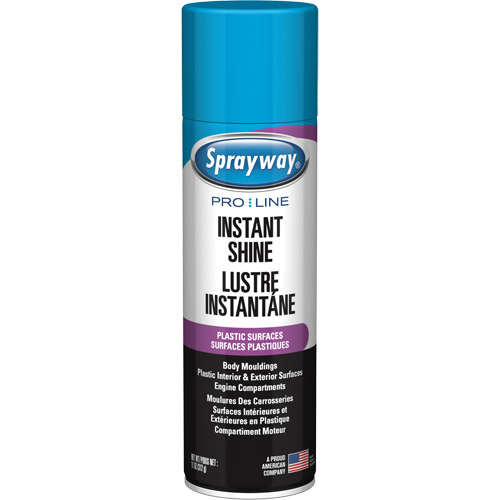 Sprayway SPRA57576 Pro Line Instant Shine for Plastic Surfaces, 11 oz., Aerosol Can