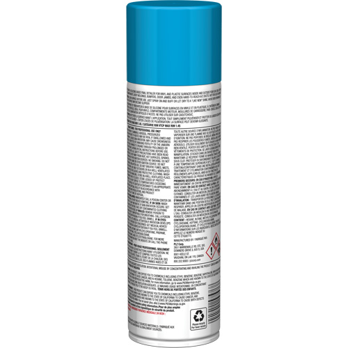Sprayway SPRA57576 Pro Line Instant Shine for Plastic Surfaces, 11 oz., Aerosol Can
