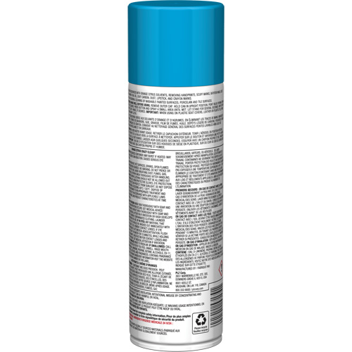 Sprayway SPRA57179 Pro Line Crazy Clean&reg; All Purpose Cleaner, 19 oz., Aerosol Can