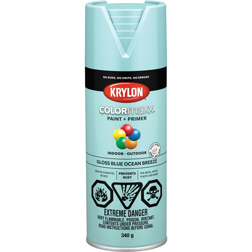 Krylon Industrial 455060007 COLORmaxx Paint + Primer, Blue, Gloss, 12