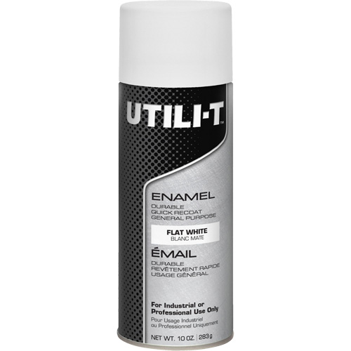 Rust-Oleum 387399 Peinture-&eacute;mail en a&eacute;rosol polyvalent UTILI-T, Blanc, Plat, 10 oz/283 g, Canette a&eacute;rosol