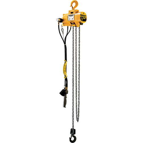 BUDGIT Budgit® Air Chain Hoists LS919 (2243) Shop Pneumatic Chain