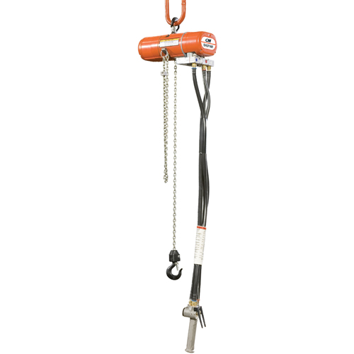 Columbus Mckinnon C2182 ShopAir Chain Hoists