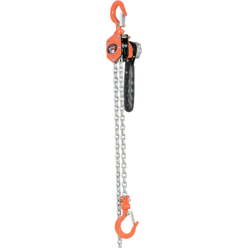 Vestil ELH-05-10 Mini palan &agrave; levier, Lev&eacute;e 10', Cabacit&eacute; 500 lb (0,25 tonne), Chaîne en Acier
