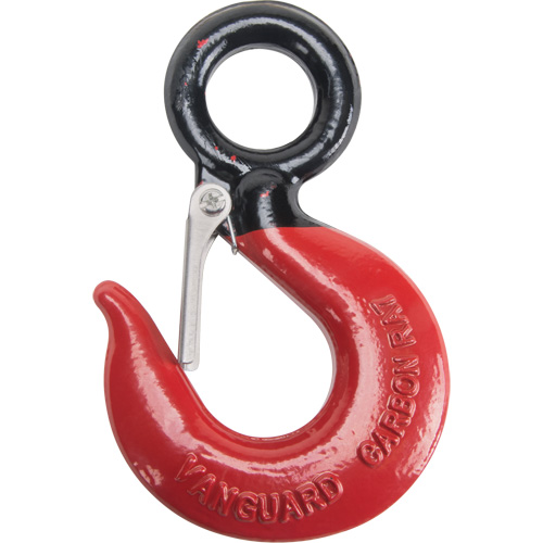 Vanguard Steel 2910 0015 Crochet de palan avec c&acirc;ble m&eacute;tallique Black Eye