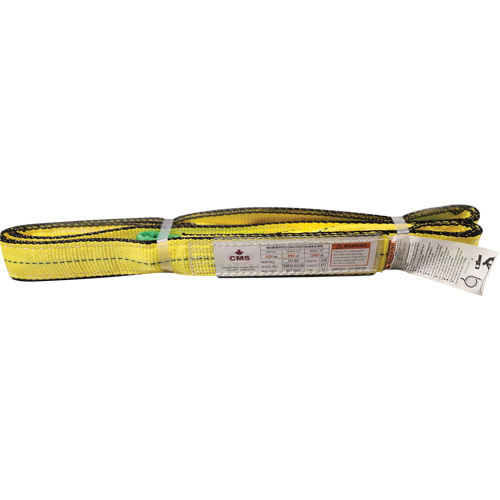 Campbell EE2902X08T4PI Polyester Web Sling, Double Ply, Twisted Eye, Type 4, 2" W x 8' L, 6400 lbs. Vertical Cap.