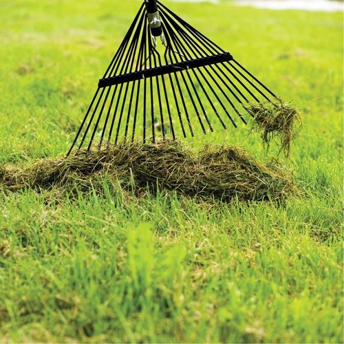 Garant 85650 Lawn Rake, 24 Tines, Hardwood Handle, Steel Blade