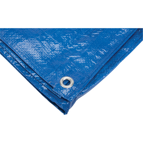 KLETON NN365 Tarp, Standard Duty, Blue, 10' x 8' x 4 mils