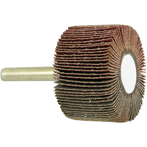 JET 560173 Disque &agrave; lamelles mont&eacute; sur mandrin, Grain 80, 1-1/2" x 1" x 1/4"