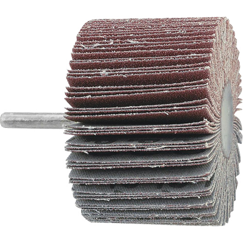 JET 560342 Disque &agrave; lamelles mont&eacute;, Grain 60, 3" x 1" x 1/4"
