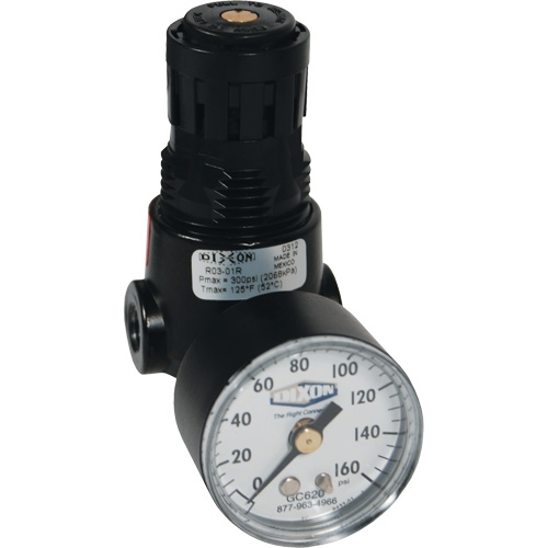 Dixon Group R03-02RG Wilkerson Miniature Regulator R04, 1/4" NPT, 300 psi Max. PSI, Standard